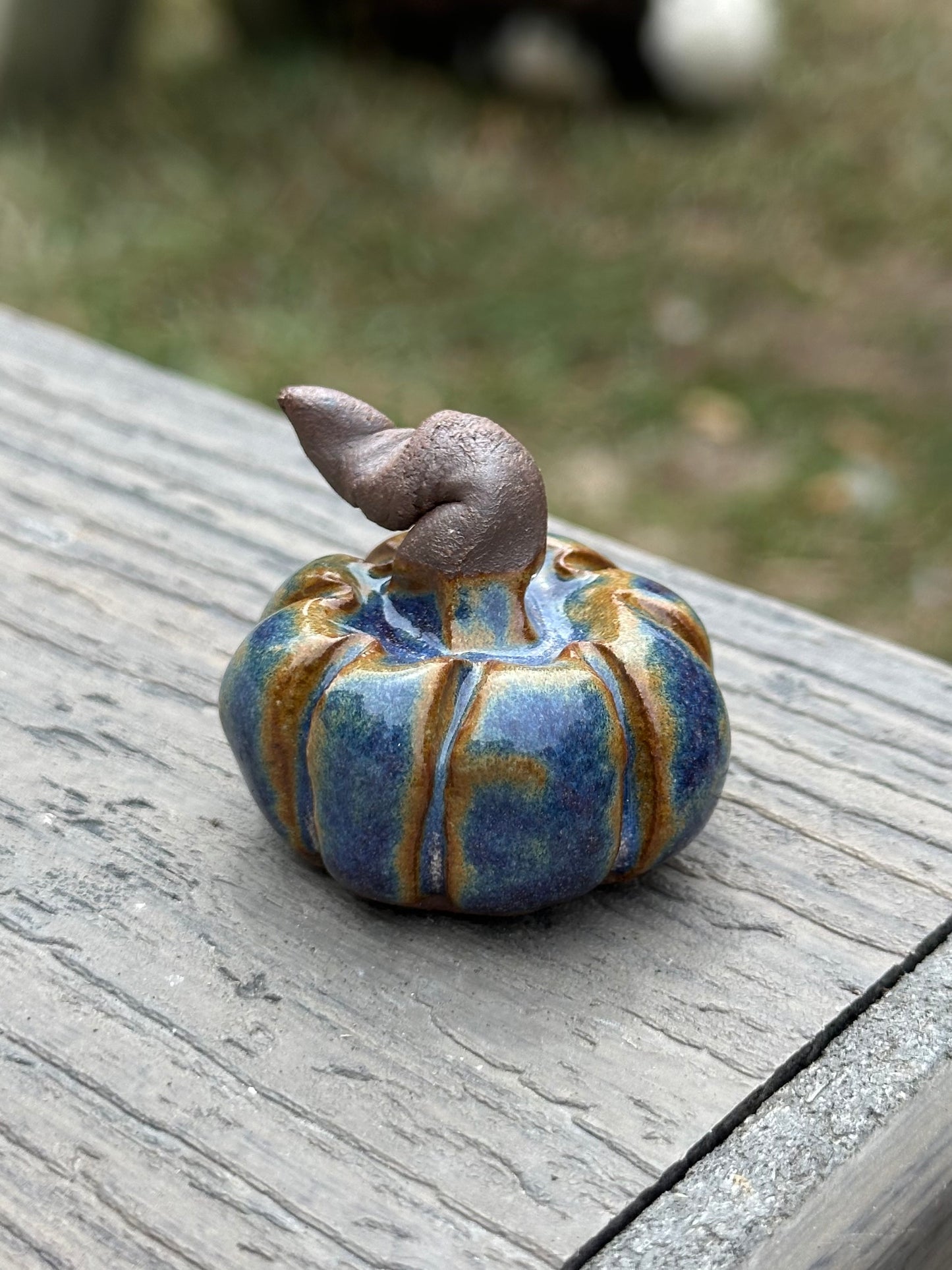 Mini Pumpkins