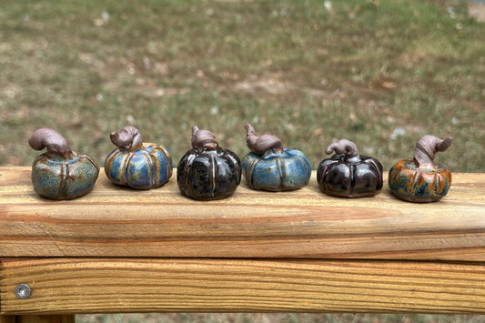 Mini Pumpkins